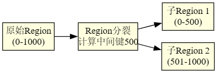 Region分裂过程